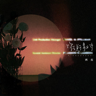 你说的对伴奏封面