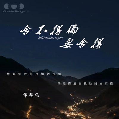 舍不得偏要舍得（DJ细霖版）封面