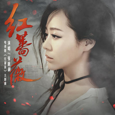 红蔷薇(电视剧《红蔷薇》主题曲)封面