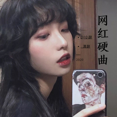 栀子花的思念（抖音热播）封面