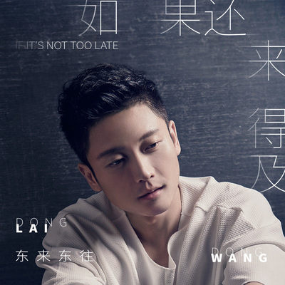 如果还来得及(伴奏)封面