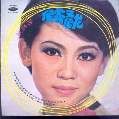 像雾又像花 - 姚苏蓉封面