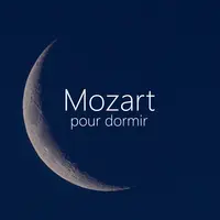 Mozart: Violin Concerto No. 2 in D, K.211 - 2. Andante