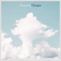 Chopin: Piano Concerto No. 1 in E Minor, Op. 11 - I. Allegro maestoso(Pt. 7)