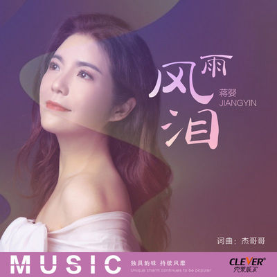 风雨泪(伴奏)封面