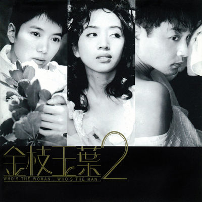 星闪闪(电影《金枝玉叶2》插曲)封面