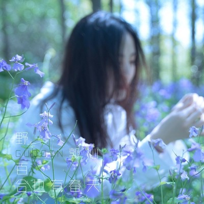 野百合也有春天封面