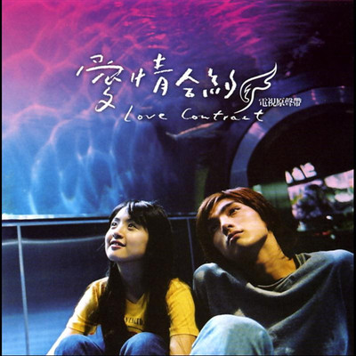 孤单北半球 淡淡哀愁版(电视剧《爱情合约》插曲) - 群星封面