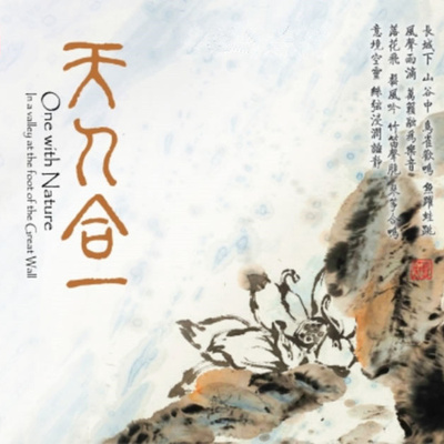 空山鸟语 二胡封面