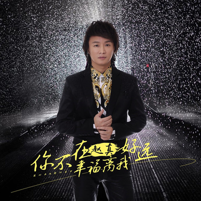 你不在幸福离我好远 (伴奏)封面