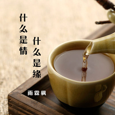 什么是情什么是缘 (伴奏)封面