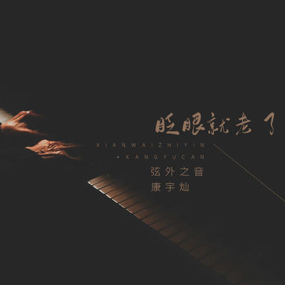眨眼就老了封面