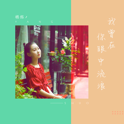 我曾在你眼中流浪封面
