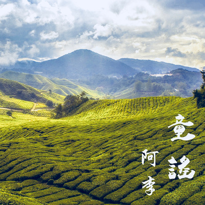 童谣封面