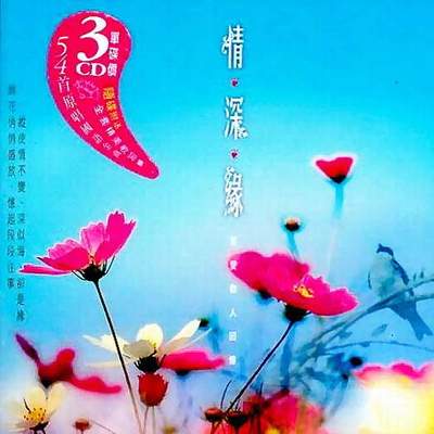 你是我归乡的路 (电视剧《回家》主题曲)封面