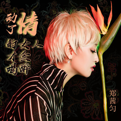 动了情的女人才会喝醉（完整版）封面