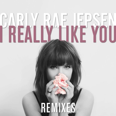 I Really Like You(The Scene Kings Remix)封面