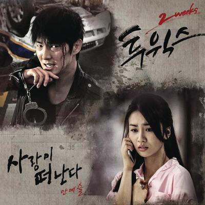 사랑이 떠난다 (Instrumental) (电视剧《两周》背景音乐)封面