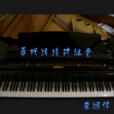 峡谷 - 蔡鸿伟封面