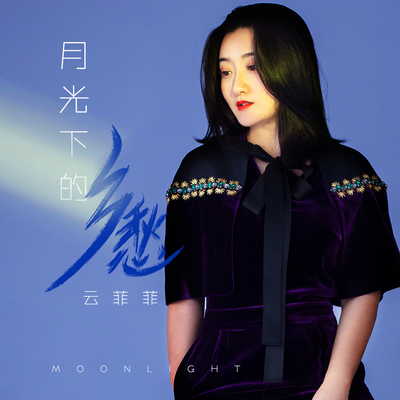 月光下的乡愁封面
