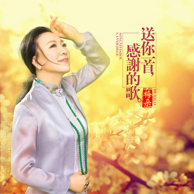 送你一首感谢的歌(伴奏)封面