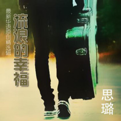 不是说我不够爱你封面