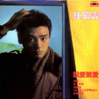 爱情街(电影《飞入爱情街》主题曲) - 雷安娜 / 钟镇涛封面