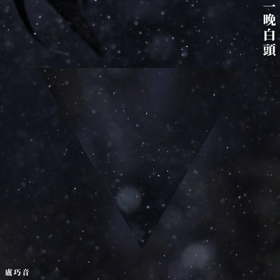 一晚白头封面
