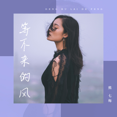 等不来的风封面