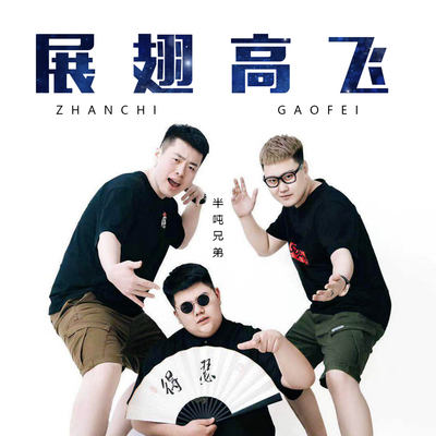 展翅高飞封面