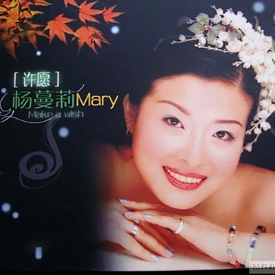我只在乎你封面