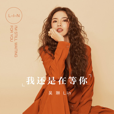 我还是在等你封面