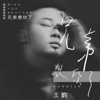 兄弟想你了(DJ阿圣版)(DJ阿圣版) - 王韵封面