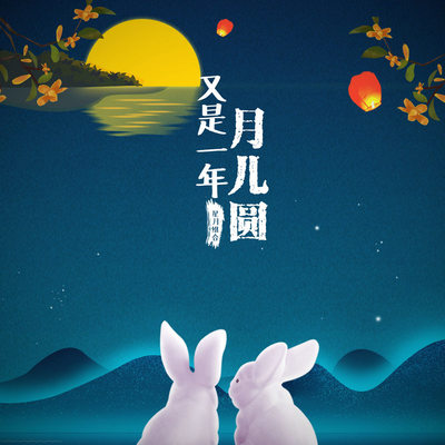 又是一年月儿圆封面