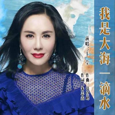 我是大海一滴水(伴奏) - 王莹封面