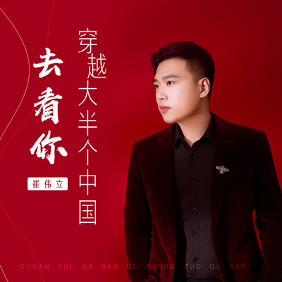 穿越大半个中国去看你 - 崔伟立封面