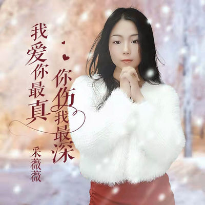 我爱你最真你伤我最深封面
