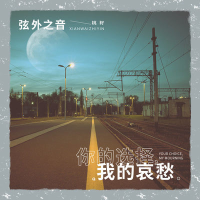 你的选择，我的哀愁封面