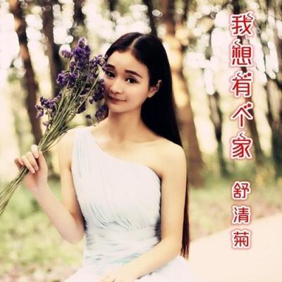我想有个家（完整版）封面