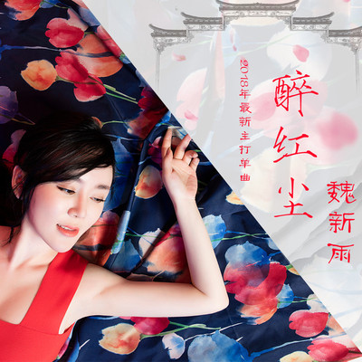 醉红尘 (DJ何鹏版)封面