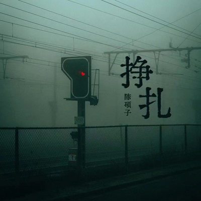挣扎 - 陈硕子封面