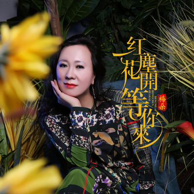 红尘花开等你来封面