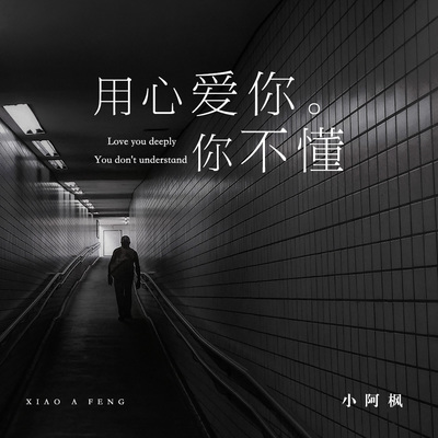 用心爱你你不懂 (完整版)封面