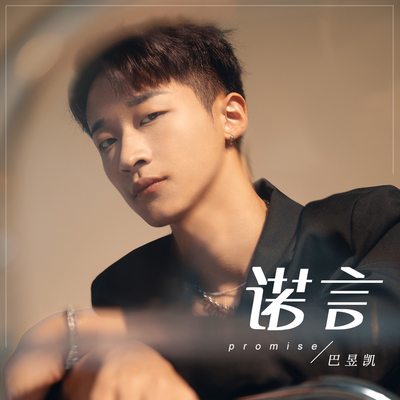 诺言 (DJ阿卓版)封面