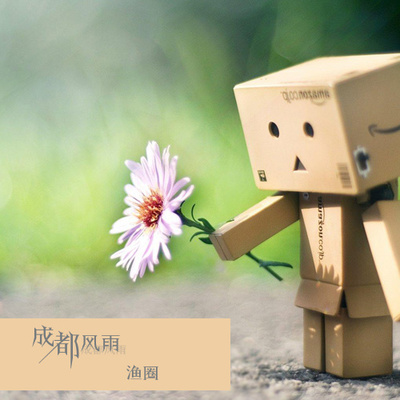 成都夜雨封面