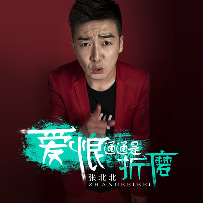 爱恨通通是折磨(伴奏) - 张北北封面