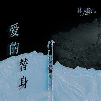 爱的替身封面