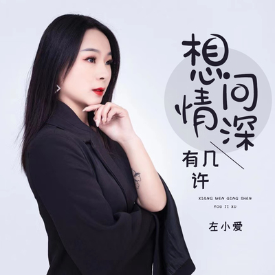 想问情深有几许封面