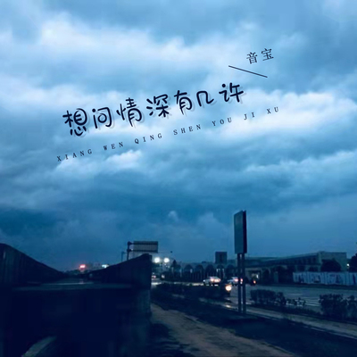 想问情深有几许封面
