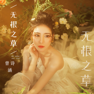 无根之草 (DJ光波版)封面